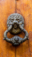 a lion head doorknocker
