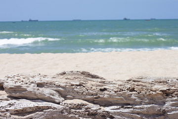 Dry tree on sand beach tropical sea with Fishing boat on the edge of the sea.