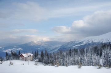 amazing winter landscape. natural background with sunny tree in mountain