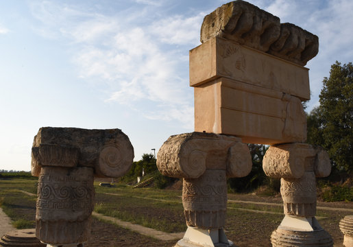Tempio Ionico - Metaponto (Matera)
