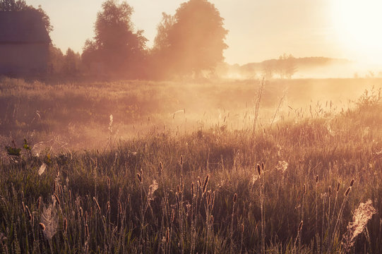 foggy morning in rural field at sunrise. natural summer (spring) background