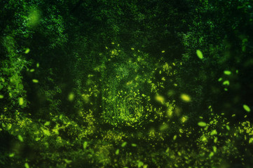 Fireflies in the wild forest. famous romantic place called Tunnel of Love, Klevan, Ukraine. ...