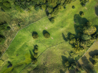 arial veiw of rural road, green field and trees. drone shot