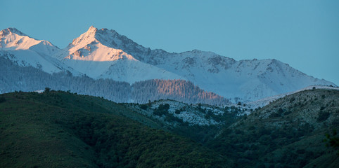 mountains in the snow and green trees