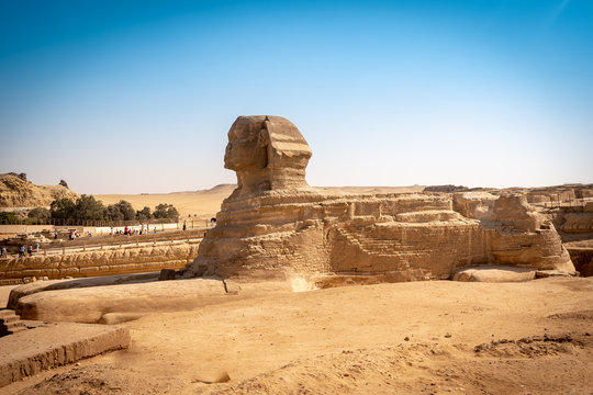 The full profile of the Great Sphinx with the pyramid in the background in Giza. Egypt.