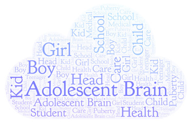 Obraz premium Adolescent Brain word cloud.