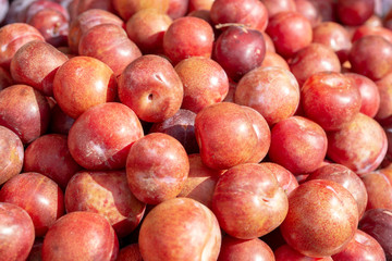 Fresh Organic Plums 