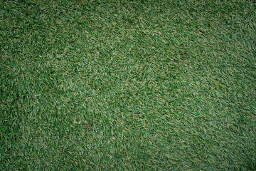 Fototapeta premium natural green manila grass texture background
