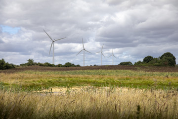 Fototapeta na wymiar Wind turbines in the grain field in Denmark