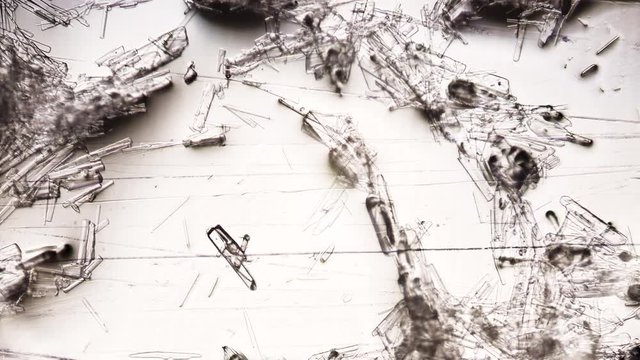 Salt, sugar and soda filmed under a microscope