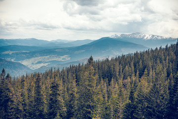 landscape in the mountains Carpathians Ukraine Autumn season