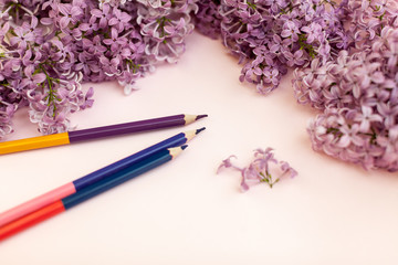 Sheets of white clean paper and spring flowers lilac, on a color background background.