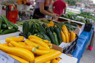 Fresh Organic Zucchini