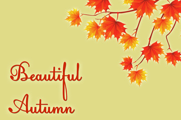 beautiful autumn. Autumn background with leaves.