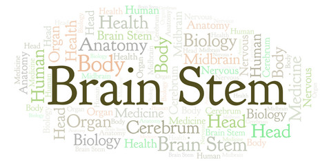 Fototapeta premium Brain Stem word cloud.
