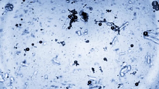 Salt, sugar and soda filmed under a microscope