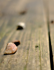 Rocks on a Wooden Table