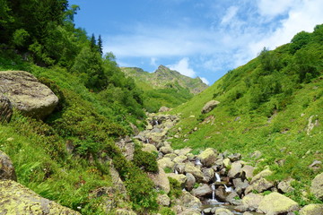 Fototapeta na wymiar Mountain stream in Caucasus Mountains on a hiking trail leading to Silver lakes in Georgia