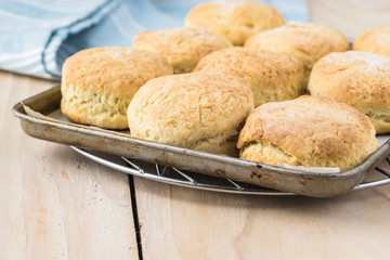 Homemade English scones.
