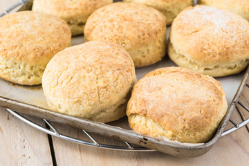 Homemade English scones.
