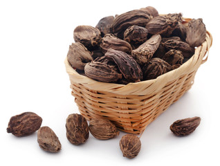 Black cardamom