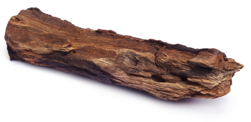 Bogwood