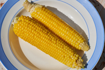 Boiled corn on a plate shot close-up © Vitalii Makarov