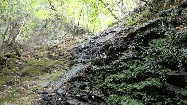 Waterfall of Dorte stream at Dortebachtal valley at Moselle river. (Germany)