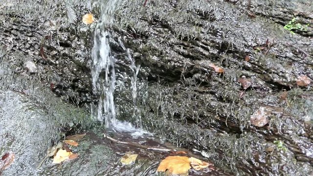 Waterfall of Dorte stream at Dortebachtal valley at Moselle river. (Germany)