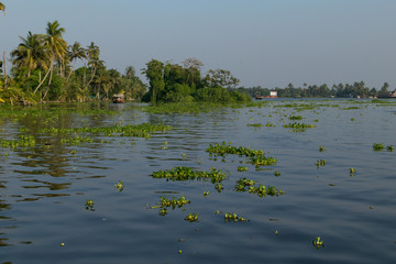 Alleppey river view from house boat tour 