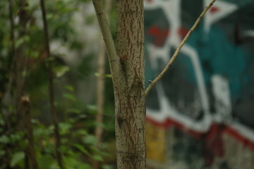 Black graffiti wall pattern
