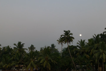 Aleppey boat ride view with full moon