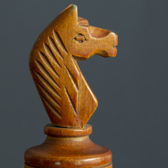 vintage chess knight © Yury Zap