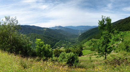Fototapeta na wymiar green landscape in the mountains, French Pyrenees