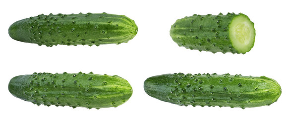 Cucumber isolated on white background