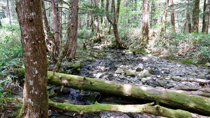Japanische Alpen nahe Kamakochi am Azusa Fluß