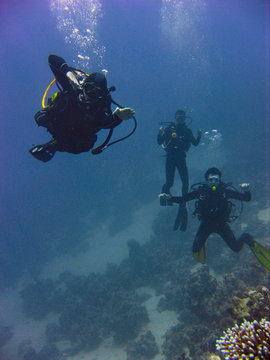 photo of scuba divers under water, Eilat, Red Sea, Israel © ame kamura