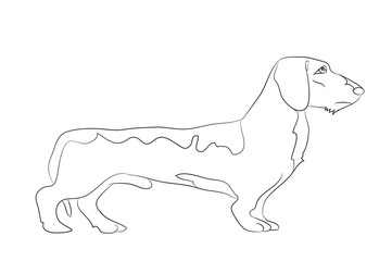 dog stands, lines, vector