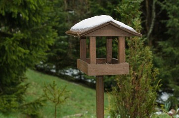 Empty bird feeder.