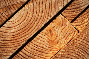 Fototapeta premium detail cut off the wooden board