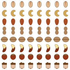 Eight rows of various types of stylized nuts