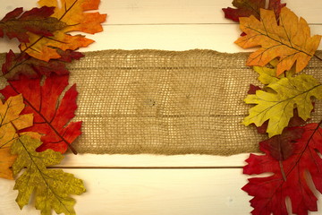 autumn, fall, background on white pine with leaf border