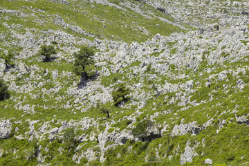 Cantabria, Liendo municipality