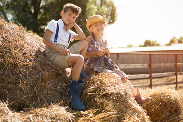 Two little children the brother and a sister is resting on the hayloft on a farm in the summer