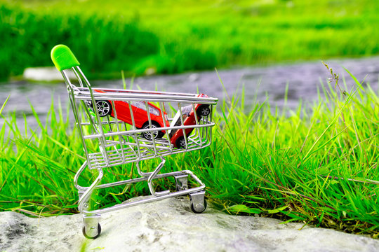 Two Red Cars In The Shopping Cart On The Background Of Nature Green Field And The River In The Background