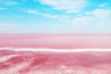 Beautiful view of pink lake on summer day