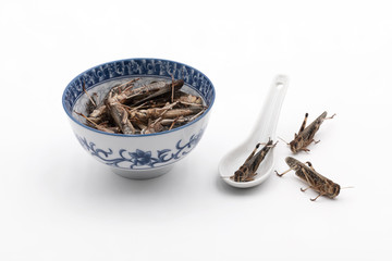 Heuschrecken in asiatischer Schale und Löffel