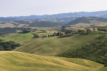 Fototapeta premium Colline Toscane