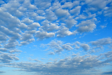 Fototapeta premium The sky the sun through clouds. The sun's rays make their way through the clouds.