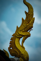 Fototapeta na wymiar dragon gold temple fron buddhist temple thailand
